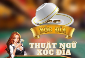 Tìm hiểu thuật ngữ trong Xóc Đĩa để biết cách chơi chuẩn xác nhất