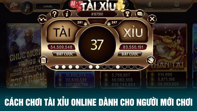 Chơi tài xỉu online dành cho người mới chơi